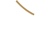 KASA’s new releases: JUNE is officially out now! | KASA SUSHI ・【傘寿司】